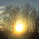 Illustration for article titled 21 Stupendous Photos of Spring